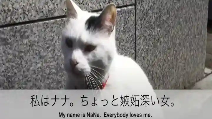 秩父札所十三番 慈眼寺の動物