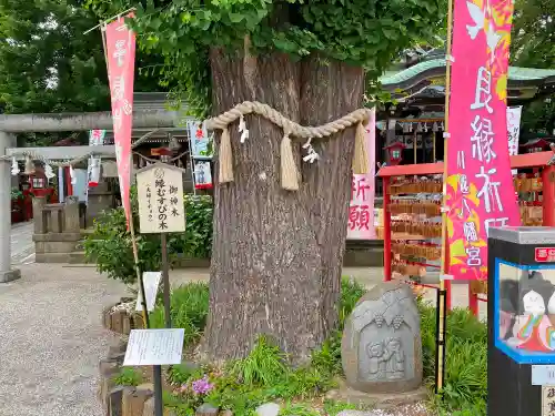 川越八幡宮の自然
