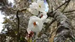 櫃蔵神社(兵庫県)