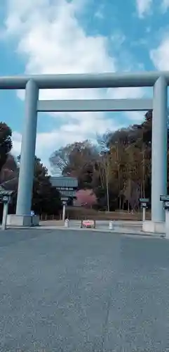 櫻木神社の鳥居