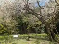 井伊神社(滋賀県)