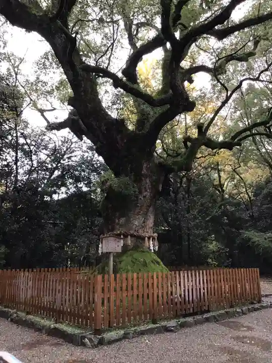 熱田神宮の自然