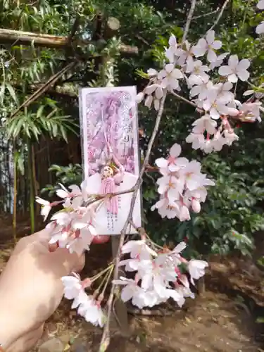 居木神社のお守り