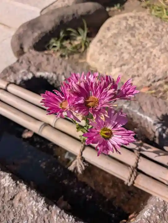 龍泉院(東京都)
