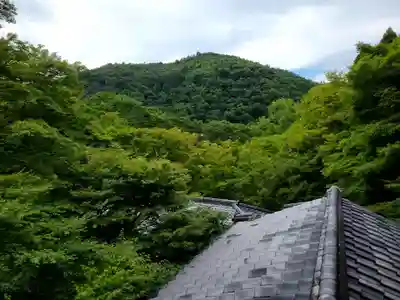 光明寺瑠璃光院(京都府)