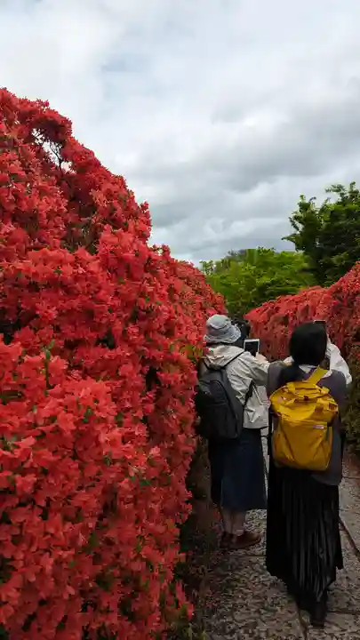 長岡天満宮(京都府)