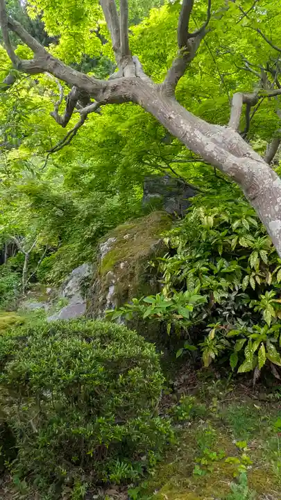 當麻寺奥院(奈良県)