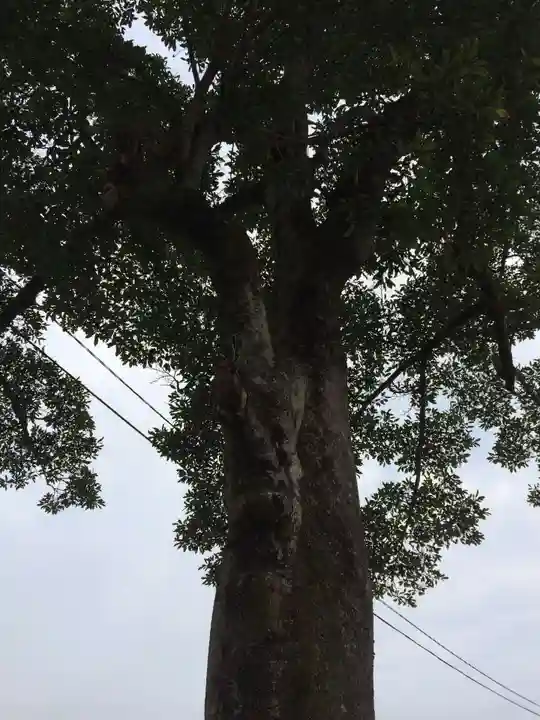 西寒多神社(大分県)