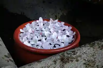 菅生神社(愛知県)