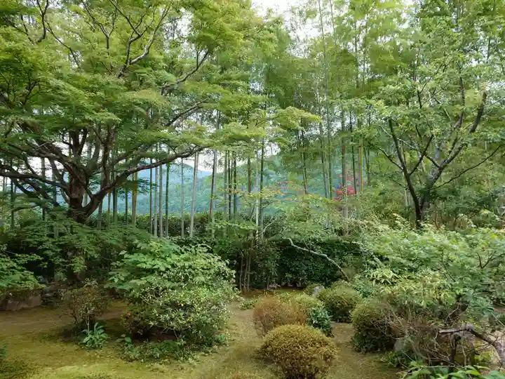 宝泉院(京都府)