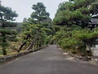 東光寺のその他建物