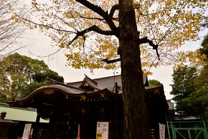 渋谷氷川神社の本殿・本堂