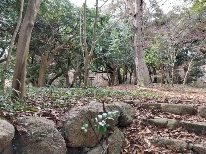 常宮神社の{uncategorized: "未分類", other: "その他", undefined: "問題あり", building: "その他建物", grave: "お墓", sacred_gate: "鳥居", guardian: "狛犬", statue: "像", buddha: "仏像", history: "歴史", nature: "自然", garden: "庭園", animal: "動物", pagoda: "塔", temizu: "手水舎", mountain_gate: "山門・神門", sanctuary: "本殿・本堂", subordinate: "末社・摂社", art: "芸術", scenery: "景色", jizo: "地蔵", ema: "絵馬", goshuin: "御朱印", omikuji: "おみくじ", items: "授与品その他", amulet: "お守り", goshuincho: "御朱印帳", eats: "食事", festival: "お祭り", votive_dance: "神楽", shichigosan: "七五三参", wedding: "結婚式", experience: "体験その他", initially: "初詣", around: "周辺", anti_infection: "感染症対策"}