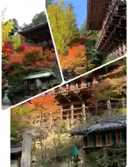 圓教寺の建物その他