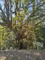 愛宕神社(渕ノ上)(宮城県)