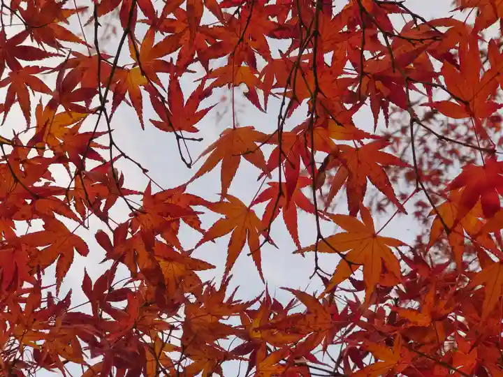根岸弁財天(神奈川県)
