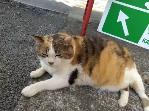 賀茂別雷神社(栃木県)