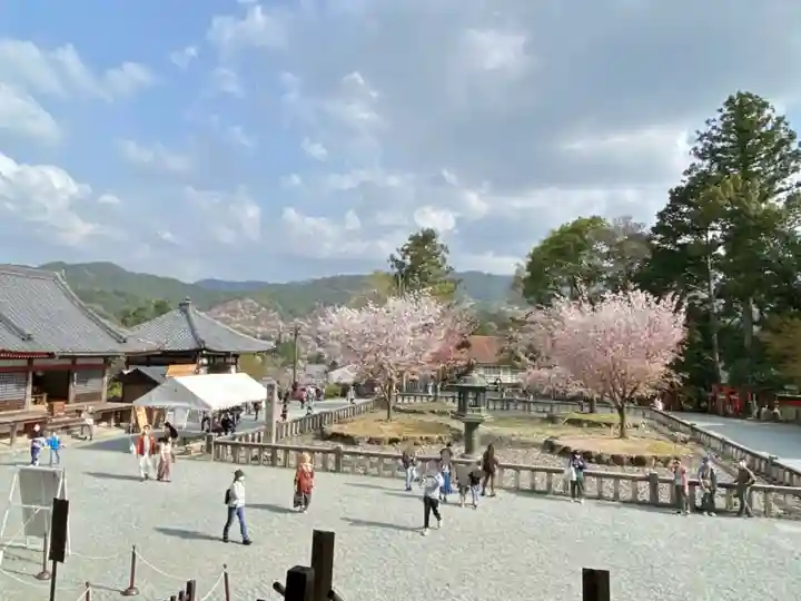 金峯山寺の庭園