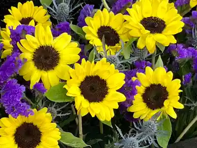 上尾御嶽神社の手水舎