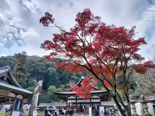 松尾大社(京都府)
