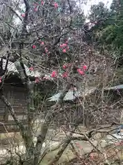 推惠神社の自然