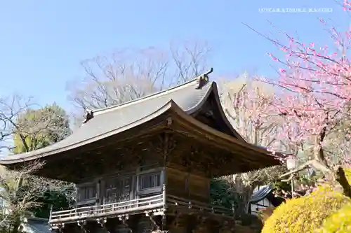 等覚院の本殿・本堂