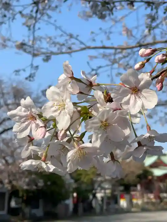 潮田神社の{uncategorized: "未分類", other: "その他", undefined: "問題あり", building: "その他建物", grave: "お墓", sacred_gate: "鳥居", guardian: "狛犬", statue: "像", buddha: "仏像", history: "歴史", nature: "自然", garden: "庭園", animal: "動物", pagoda: "塔", temizu: "手水舎", mountain_gate: "山門・神門", sanctuary: "本殿・本堂", subordinate: "末社・摂社", art: "芸術", scenery: "景色", jizo: "地蔵", ema: "絵馬", goshuin: "御朱印", omikuji: "おみくじ", items: "授与品その他", amulet: "お守り", goshuincho: "御朱印帳", eats: "食事", festival: "お祭り", votive_dance: "神楽", shichigosan: "七五三参", wedding: "結婚式", experience: "体験その他", initially: "初詣", around: "周辺", anti_infection: "感染症対策"}