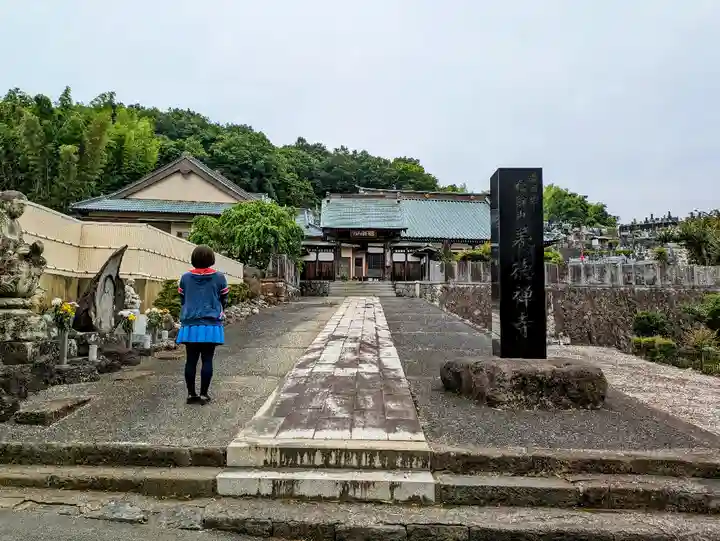 養徳寺の山門・神門