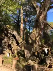 大山祇神社(愛媛県)