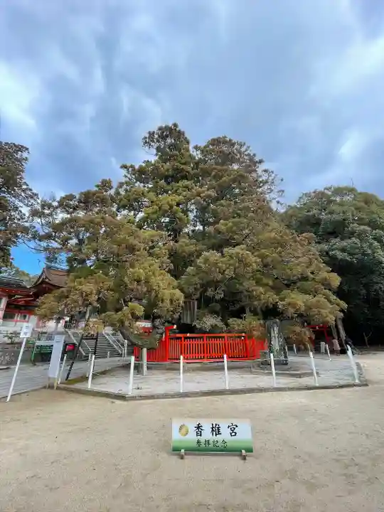 香椎宮のその他建物