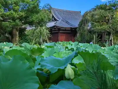 法金剛院(京都府)