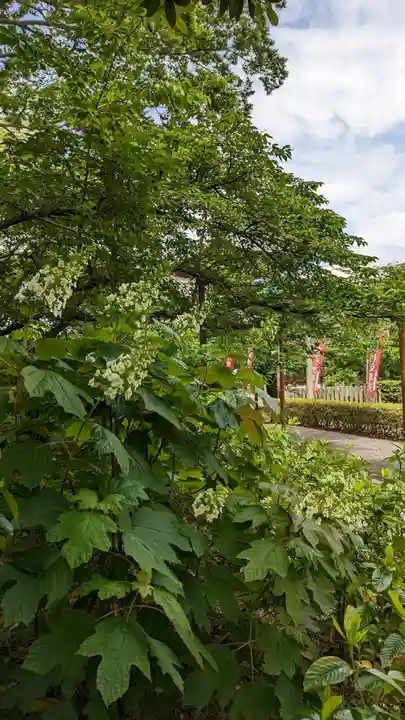 本法寺(京都府)