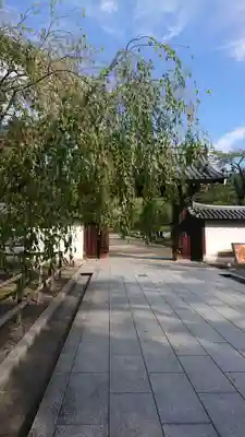 醍醐寺の山門・神門