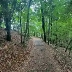 玉置神社(奈良県)