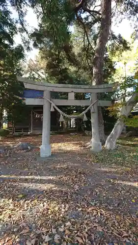 仙人神社の鳥居