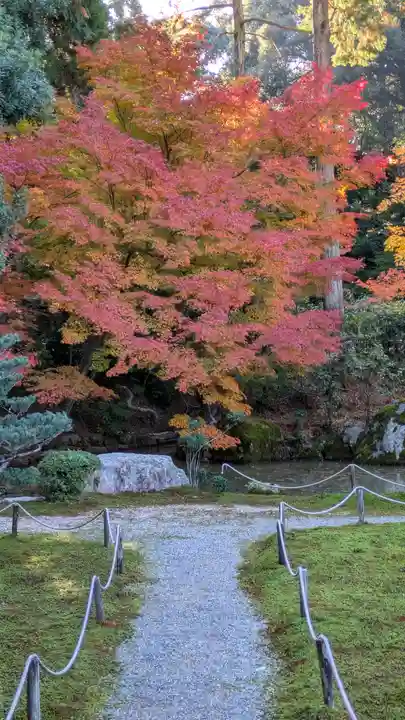 即宗院(京都府)