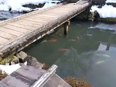 朝倉神社(福井県)