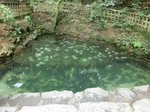 八重垣神社の庭園