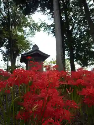 駒形神社の自然