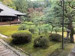 隨心院（随心院）(京都府)