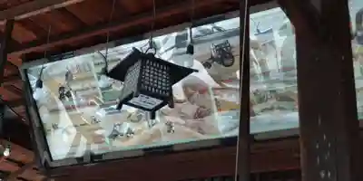 佐太神社(佐太天神宮)(大阪府)