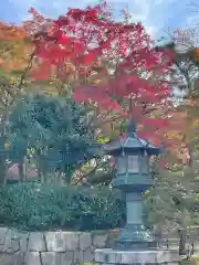 真正極楽寺（真如堂）の建物その他