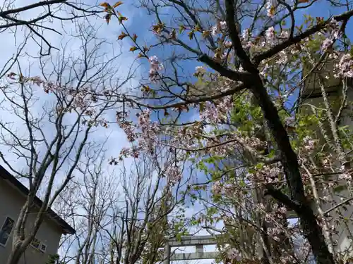 釧路一之宮 厳島神社の自然