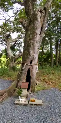 鞆呂岐神社(大阪府)
