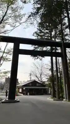 北海道神宮の鳥居