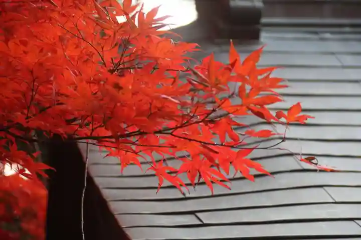 滑川神社 - 仕事と子どもの守り神の自然