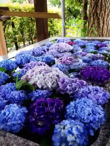 桜神宮(東京都)