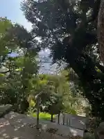 小鷹神社の{uncategorized: "未分類", other: "その他", undefined: "問題あり", building: "その他建物", grave: "お墓", sacred_gate: "鳥居", guardian: "狛犬", statue: "像", buddha: "仏像", history: "歴史", nature: "自然", garden: "庭園", animal: "動物", pagoda: "塔", temizu: "手水舎", mountain_gate: "山門・神門", sanctuary: "本殿・本堂", subordinate: "末社・摂社", art: "芸術", scenery: "景色", jizo: "地蔵", ema: "絵馬", goshuin: "御朱印", omikuji: "おみくじ", items: "授与品その他", amulet: "お守り", goshuincho: "御朱印帳", eats: "食事", festival: "お祭り", votive_dance: "神楽", shichigosan: "七五三参", wedding: "結婚式", experience: "体験その他", initially: "初詣", around: "周辺", anti_infection: "感染症対策"}