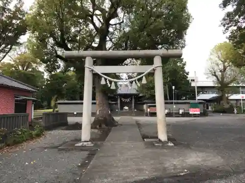 日吉浅間神社の鳥居