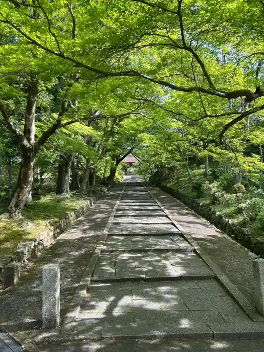 毘沙門堂門跡の{uncategorized: "未分類", other: "その他", undefined: "問題あり", building: "その他建物", grave: "お墓", sacred_gate: "鳥居", guardian: "狛犬", statue: "像", buddha: "仏像", history: "歴史", nature: "自然", garden: "庭園", animal: "動物", pagoda: "塔", temizu: "手水舎", mountain_gate: "山門・神門", sanctuary: "本殿・本堂", subordinate: "末社・摂社", art: "芸術", scenery: "景色", jizo: "地蔵", ema: "絵馬", goshuin: "御朱印", omikuji: "おみくじ", items: "授与品その他", amulet: "お守り", goshuincho: "御朱印帳", eats: "食事", festival: "お祭り", votive_dance: "神楽", shichigosan: "七五三参", wedding: "結婚式", experience: "体験その他", initially: "初詣", around: "周辺", anti_infection: "感染症対策"}